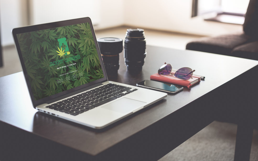 Cannabis Web Design
